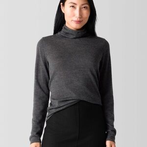 Eileen Fisher, Fine Merine Turtleneck Top